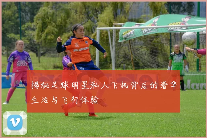 揭秘足球明星私人飞机背后的奢华生活与飞行体验