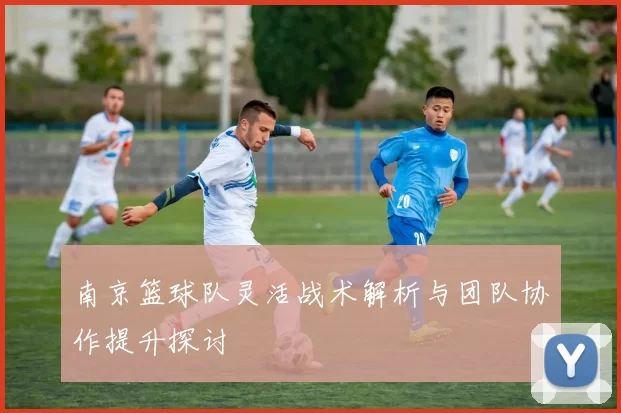 南京篮球队灵活战术解析与团队协作提升探讨