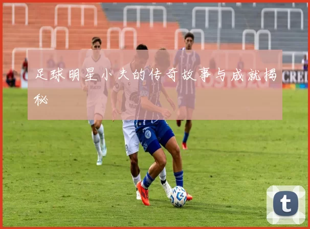 足球明星小夫的传奇故事与成就揭秘