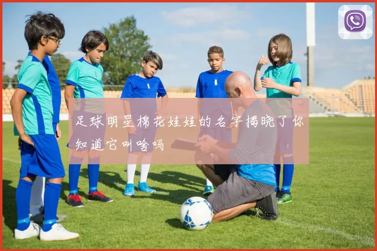 足球明星棉花娃娃的名字揭晓了你知道它叫啥吗