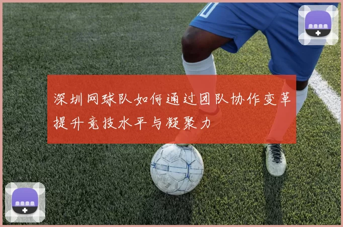 深圳网球队如何通过团队协作变革提升竞技水平与凝聚力