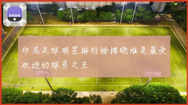 印尼足球明星排行榜揭晓谁是最受欢迎的球员之王