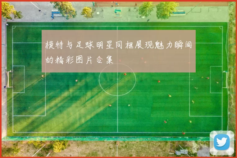 模特与足球明星同框展现魅力瞬间的精彩图片合集