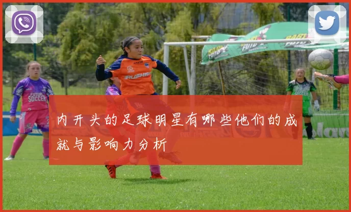 内开头的足球明星有哪些他们的成就与影响力分析