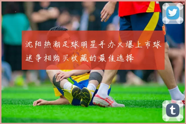 沈阳热潮足球明星手办火爆上市球迷争相购买收藏的最佳选择