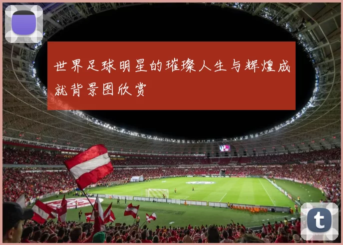 世界足球明星的璀璨人生与辉煌成就背景图欣赏