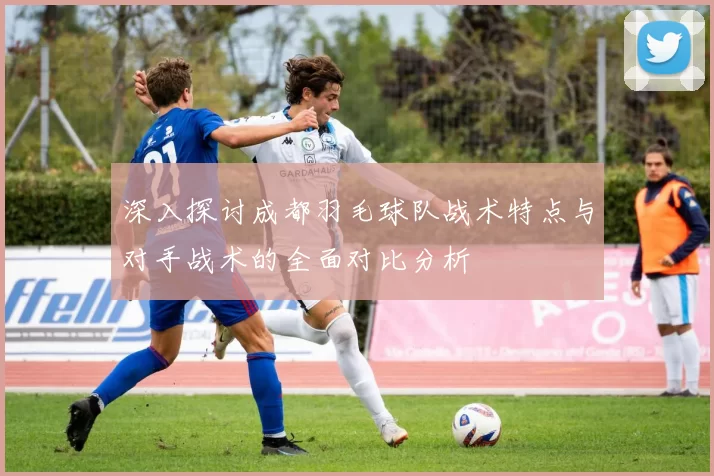 深入探讨成都羽毛球队战术特点与对手战术的全面对比分析