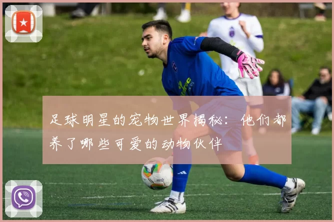 足球明星的宠物世界揭秘：他们都养了哪些可爱的动物伙伴