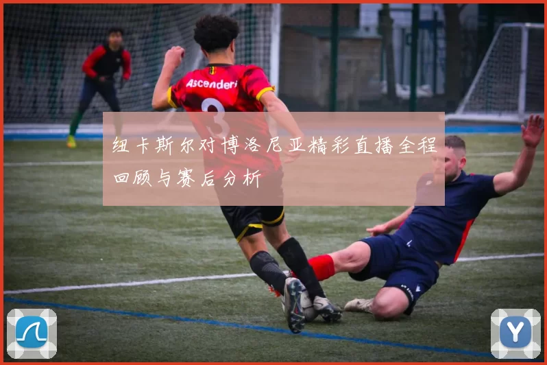 纽卡斯尔对博洛尼亚精彩直播全程回顾与赛后分析
