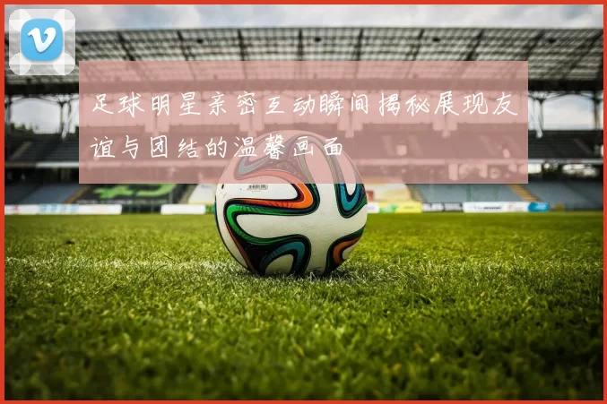 足球明星亲密互动瞬间揭秘展现友谊与团结的温馨画面