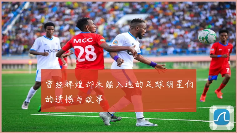 曾经辉煌却未能入选的足球明星们的遗憾与故事