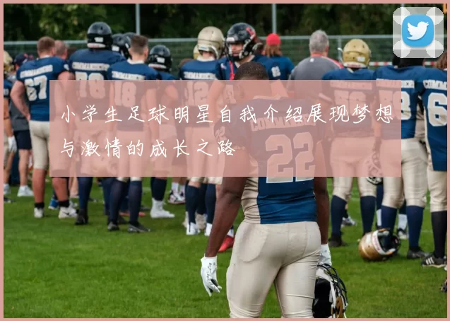 小学生足球明星自我介绍展现梦想与激情的成长之路