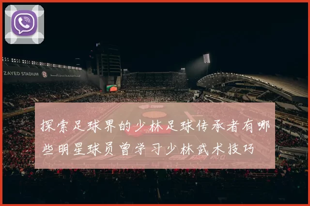 探索足球界的少林足球传承者有哪些明星球员曾学习少林武术技巧
