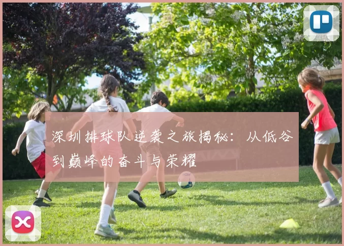 深圳排球队逆袭之旅揭秘：从低谷到巅峰的奋斗与荣耀