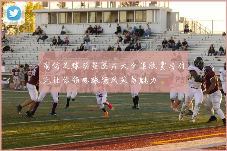 高仿足球明星图片大全集欣赏与对比让你领略球场风采与魅力