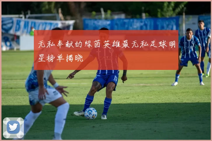 无私奉献的绿茵英雄最无私足球明星榜单揭晓