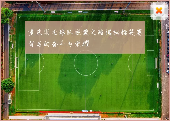重庆羽毛球队逆袭之路揭秘精英赛背后的奋斗与荣耀