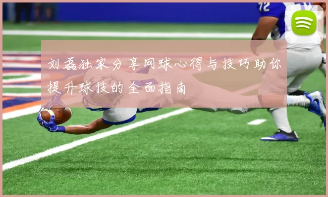 刘磊独家分享网球心得与技巧助你提升球技的全面指南